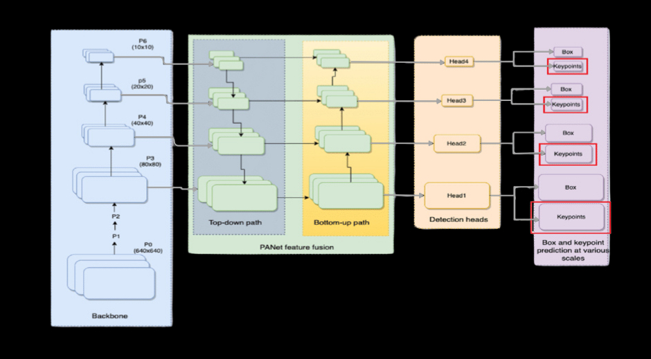 YOLOPose Architecture
